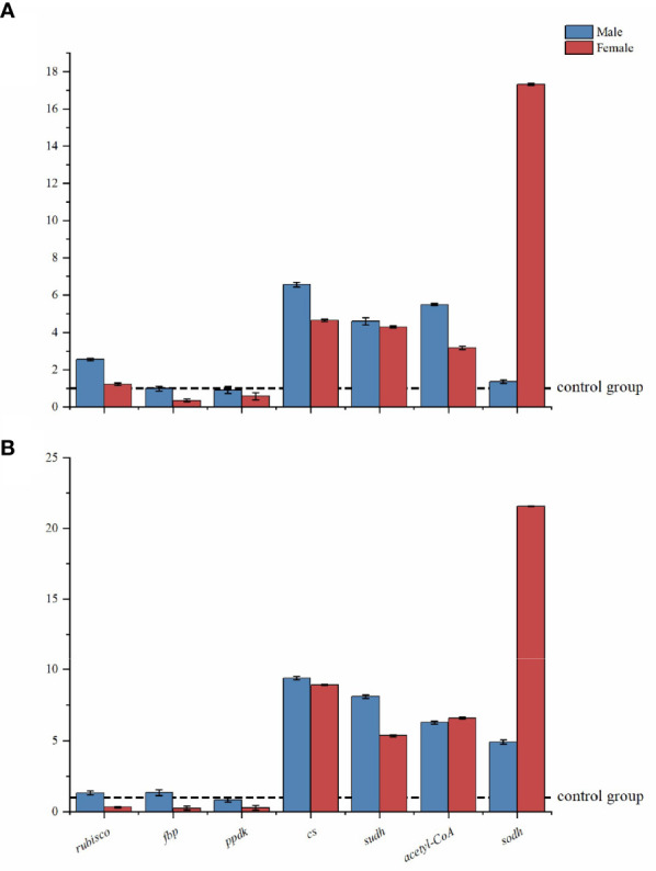 Figure 4