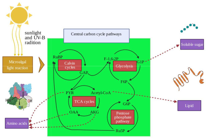 Figure 1