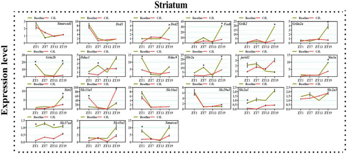 FIGURE 6