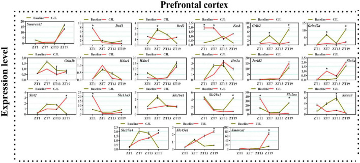 FIGURE 3