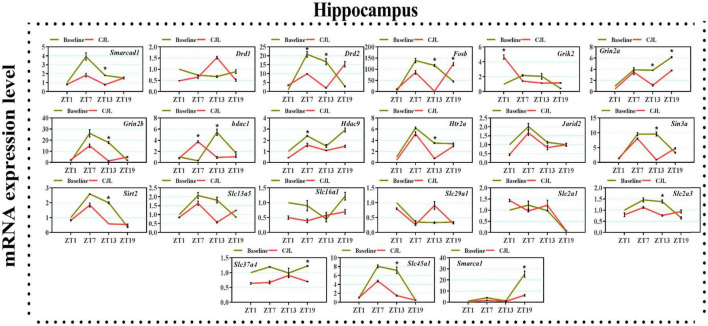 FIGURE 4