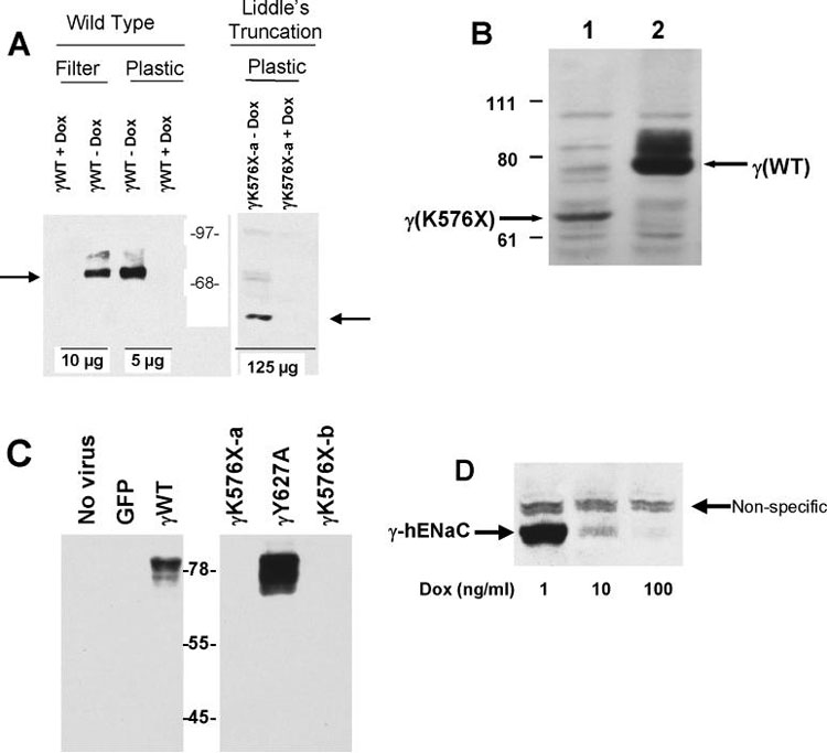 Figure 2: