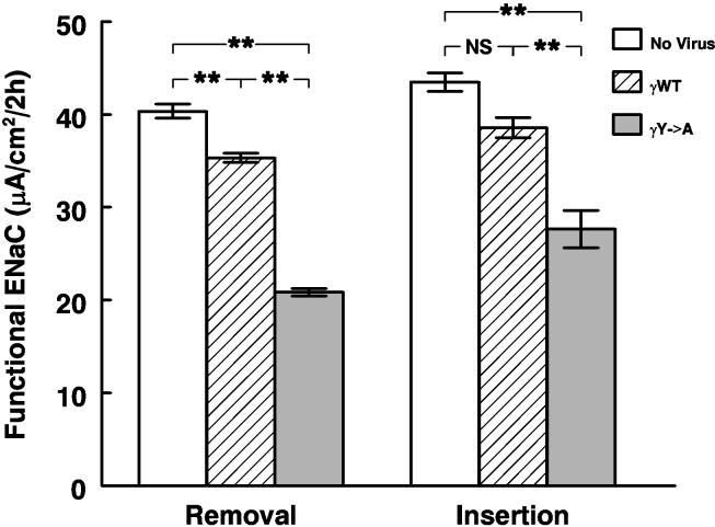 Figure 10.