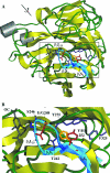 FIG. 2.