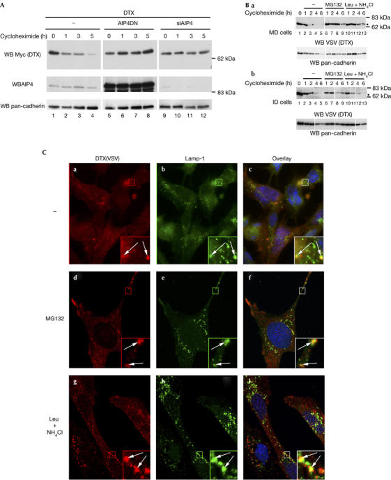 Figure 2abc