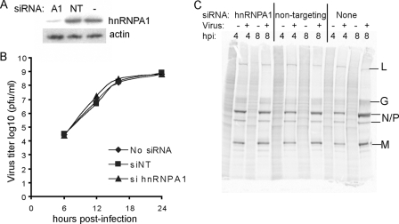 FIG. 7.