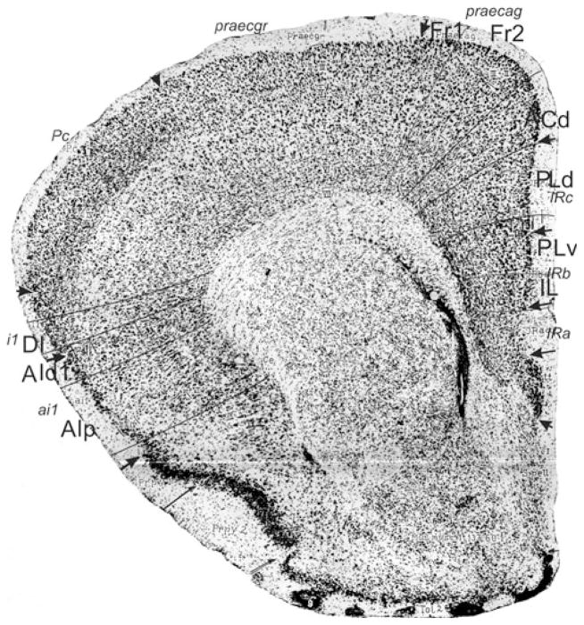 Fig. 22