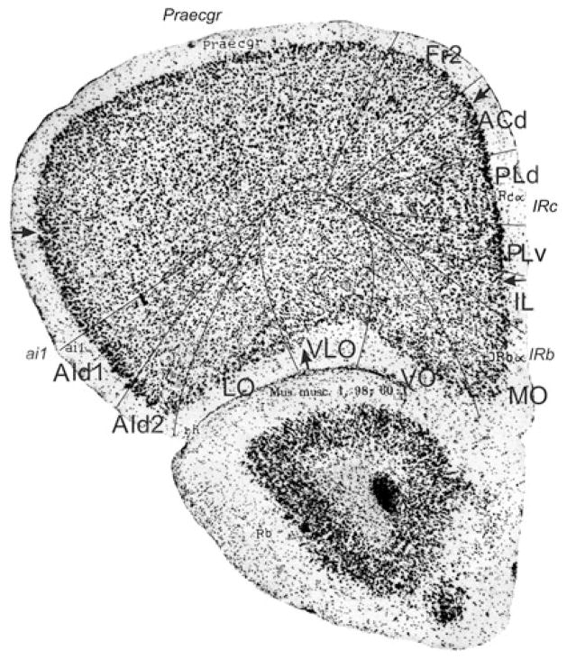 Fig. 20