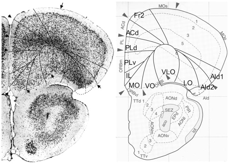 Fig. 12