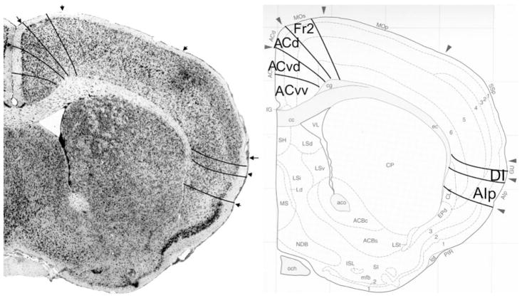 Fig. 18