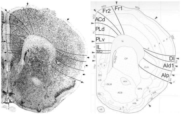 Fig. 15