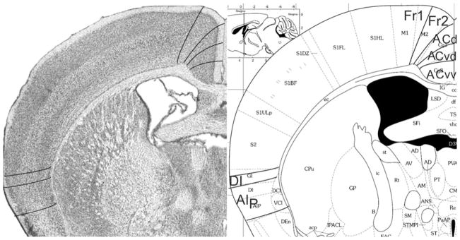 Fig. 10