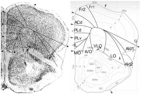 Fig. 13