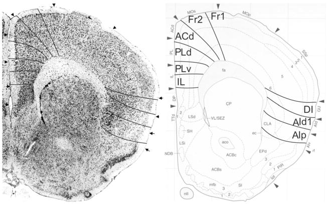 Fig. 16