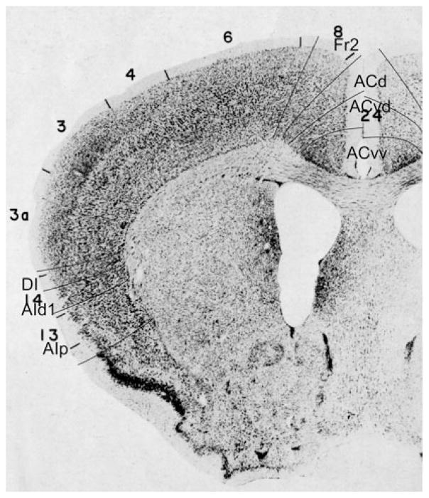 Fig. 25