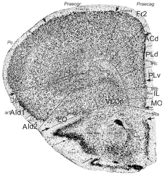 Fig. 21