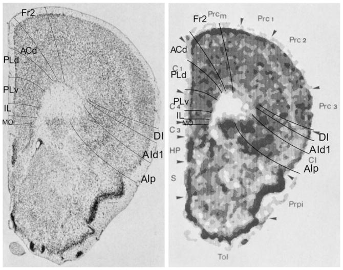 Fig. 26