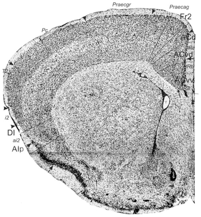 Fig. 23