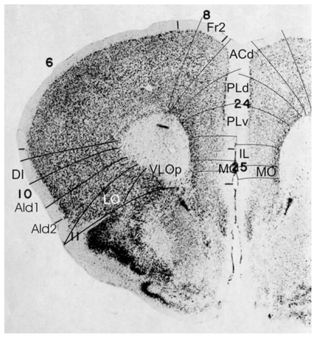 Fig. 24