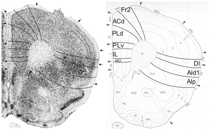 Fig. 14