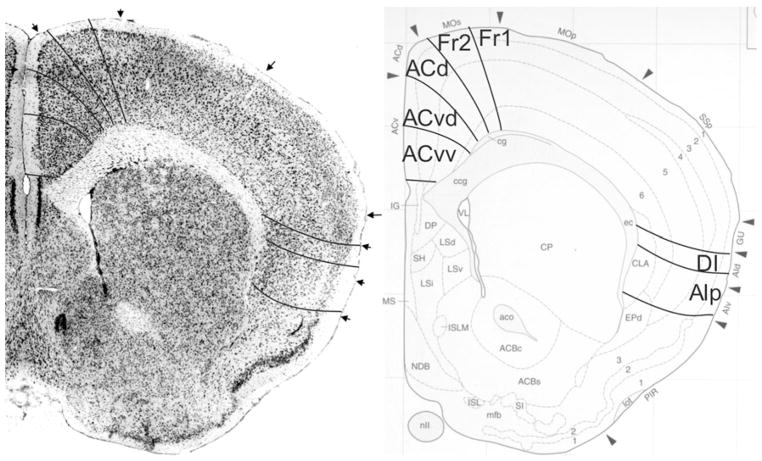 Fig. 17