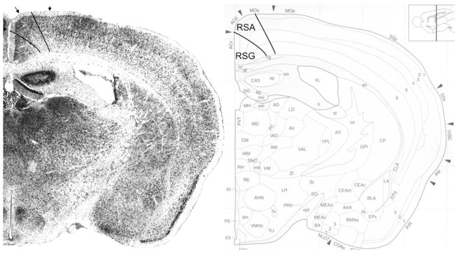 Fig. 19