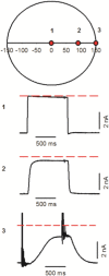 Fig 5
