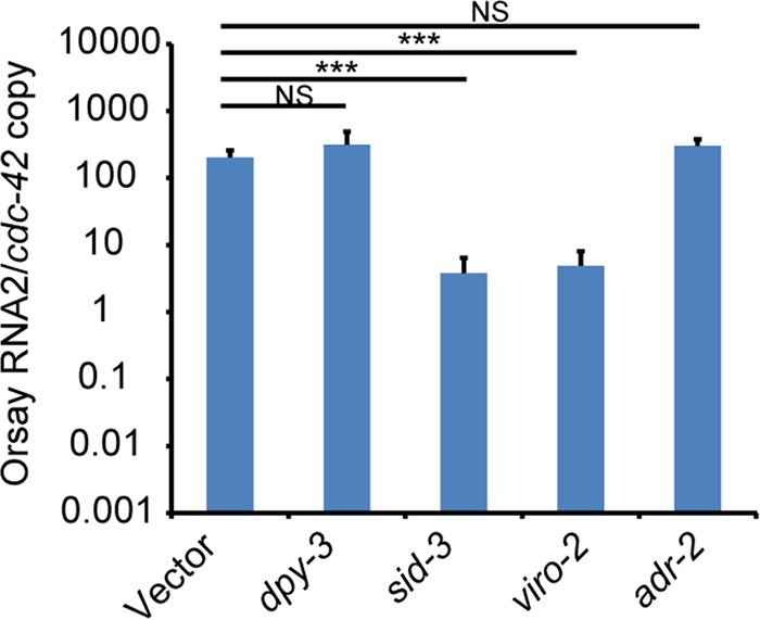 FIG 3 