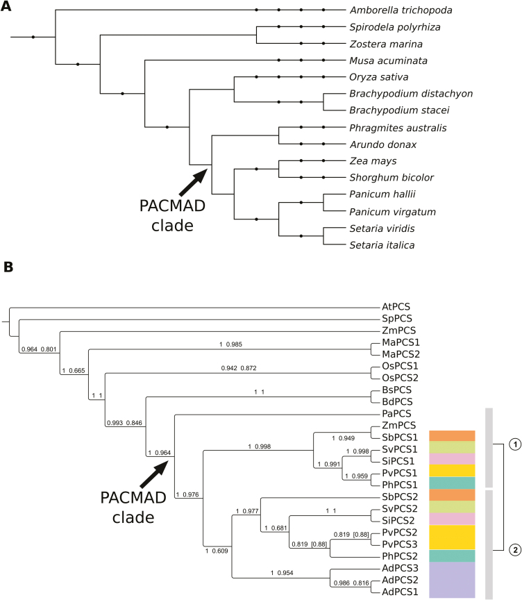 Fig. 2.