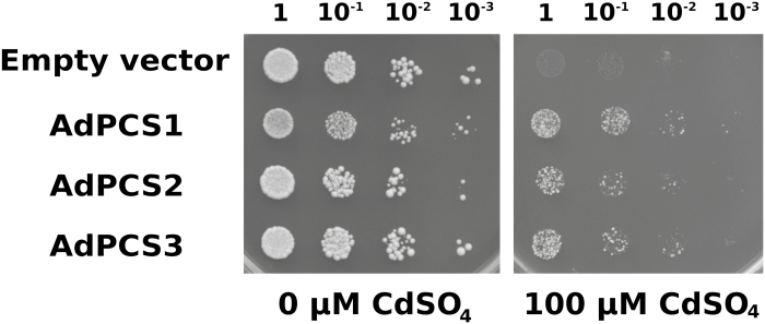 Fig. 6.