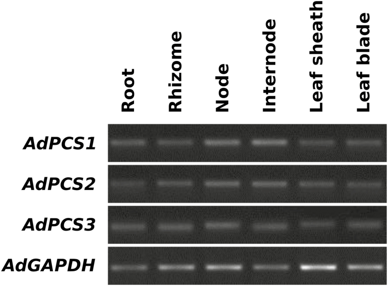 Fig. 3.