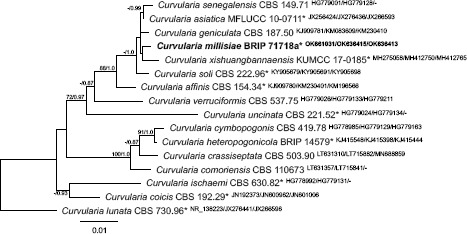 graphic file with name per-2022-49-8-i002.jpg