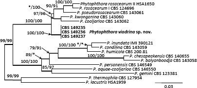 graphic file with name per-2022-49-8-i008.jpg