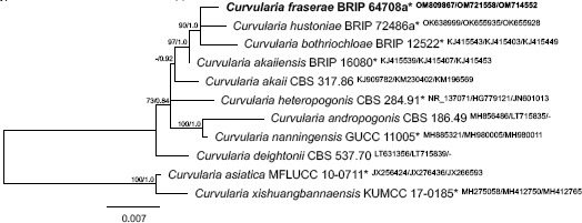 graphic file with name per-2022-49-8-i001.jpg