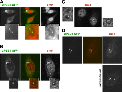 Figure 6.