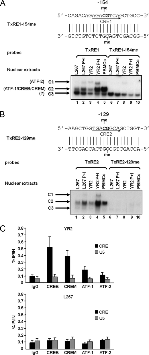 FIGURE 6.