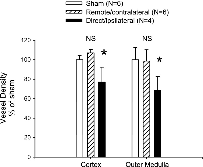 Fig. 10.