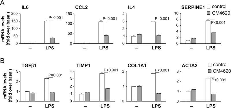 Figure 12.