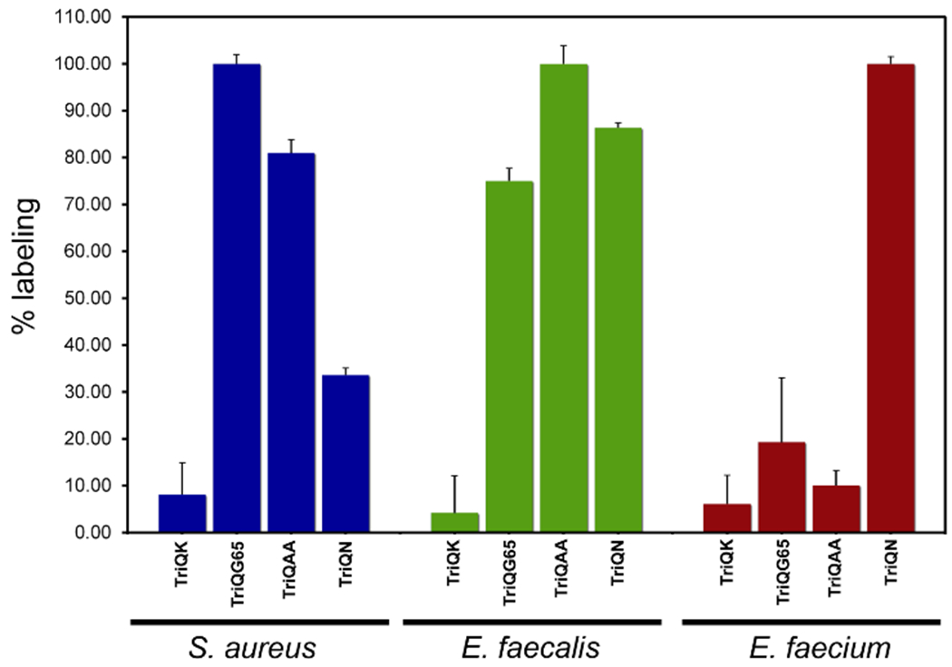 Figure 5.