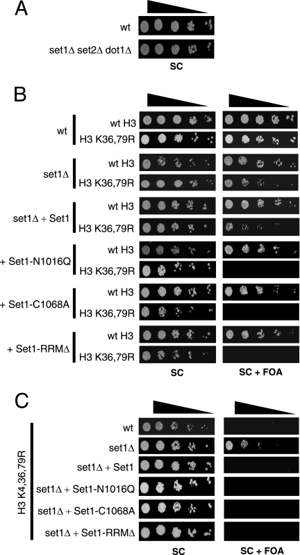 FIG. 6.