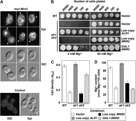 Figure 6.—