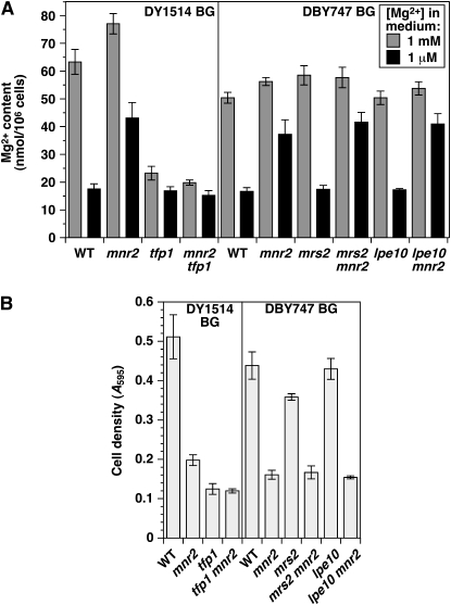 Figure 4.—