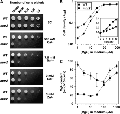 Figure 1.—