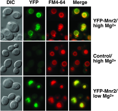 Figure 2.—