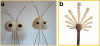 Fig. 3