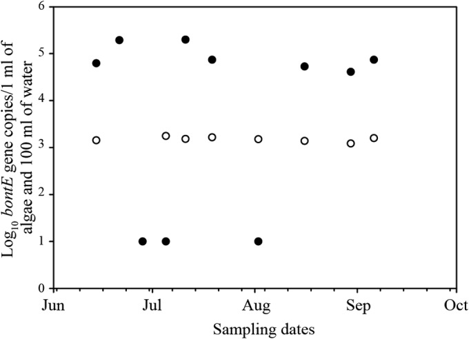 FIG 3