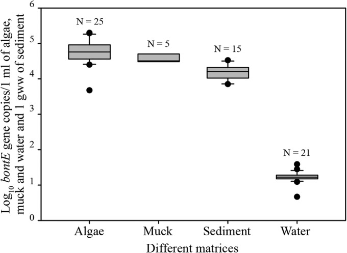 FIG 2