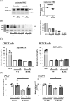 Figure 4—figure supplement 2.