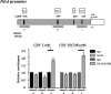 Figure 4—figure supplement 3.