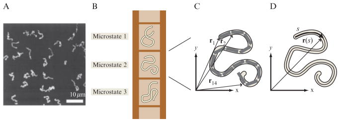 Figure 2.1